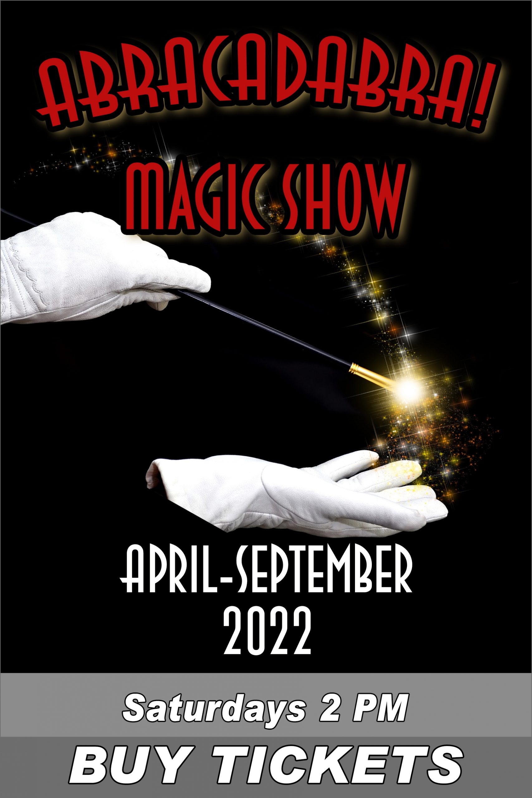 Saturday 2PM Magic Show